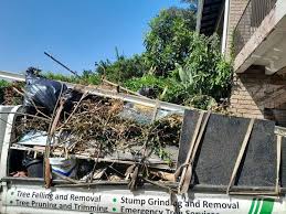 Best Furniture Removal  in Twain Harte, CA
